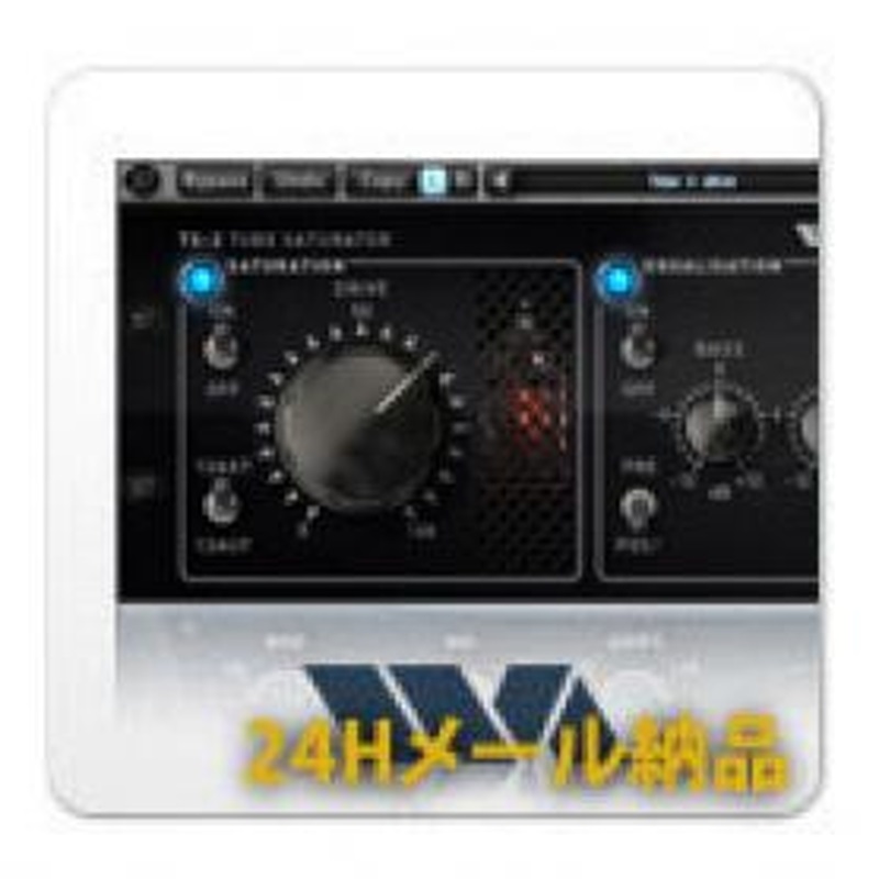 ギター Badkey Saturator2 ギター Badkey Saturator2 WAVE ARTS Tube Saturator 2