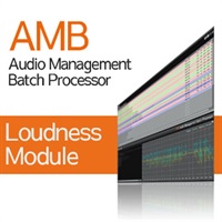 AMB Loudness Module(オンライン納品)(2時間以内に納品)
