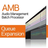 AMB Queue Expansion(オンライン納品)(2時間以内に納品)