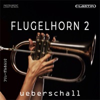 FLUGELHORN 2(オンライン納品)(2時間以内に納品)
