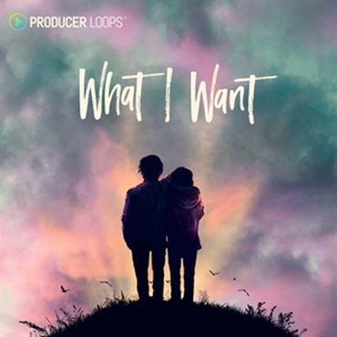 PRODUCER LOOPS WHAT I WANT(オンライン納品)(2時間以内に納品)