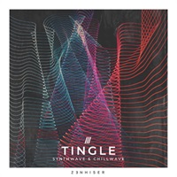 TINGLE - SYNTHWAVE & CHILLWAVE(オンライン納品)(2時間以内に納品)