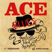 MODERN ROCK AND MEMPHIS BLUES(オンライン納品)(2時間以内に納品)