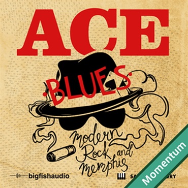 MODERN ROCK AND MEMPHIS BLUES(オンライン納品)(2時間以内に納品)
