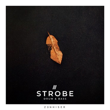 ZENHISER STROBE - DRUM & BASS(オンライン納品)(2時間以内に納品)
