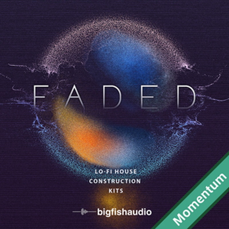 BIG FISH AUDIO FADED - LO-FI HOUSE CONSTRUCTION KITS MMT(オンライン納品)(2時間以内に納品)