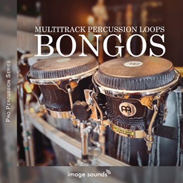 BONGOS(オンライン納品)(2時間以内に納品)