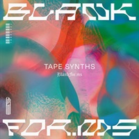 【11日間限定最大半額セール！】BLANKFOR.MS - TAPE SYNTHS(オンライン納品)(2時間以内に納品)