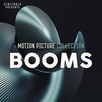 MOTION PICTURE BOOMS(オンライン納品)(2時間以内に納品)
