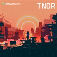 TNDR(オンライン納品)(2時間以内に納品)