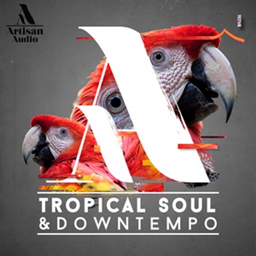 TROPICAL SOUL & DOWNTEMPO(オンライン納品)(2時間以内に納品)