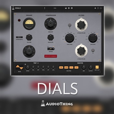 DIALS(オンライン納品)(2時間以内に納品)