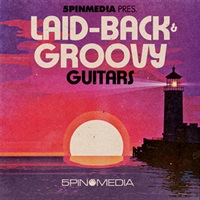 LAID-BACK 'N GROOVY GUITARS(オンライン納品)(2時間以内に納品)