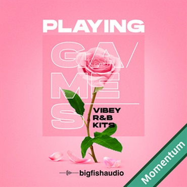BIG FISH AUDIO PLAYING GAMES - VIBEY R&B KITS(オンライン納品)(2時間以内に納品)