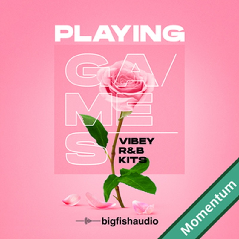 BIG FISH AUDIO PLAYING GAMES - VIBEY R&B KITS(オンライン納品)(2時間以内に納品)