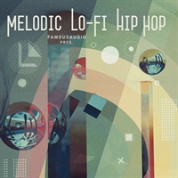 MELODIC LO-FI HIP HOP(オンライン納品)(2時間以内に納品)