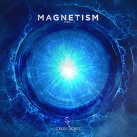 【サマーセール！最大50%OFF！】MAGNETISM VOL. 1 - BRIGHT TEXTURES(オンライン納品)(2時間以内に納品)