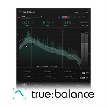 【ソニブルプラグイン・エフェクトセール！】TRUE:BALANCE(オンライン納品)(2時間以内に納品)