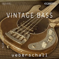 VINTAGE BASS(オンライン納品)(2時間以内に納品)