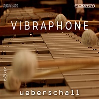 VIBRAPHONE(オンライン納品)(2時間以内に納品)