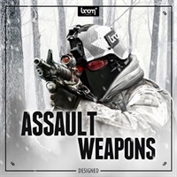 ASSAULT WEAPONS - DESIGNED(オンライン納品)(2時間以内に納品)