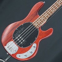 【USED】 S.U.B. Series Ray4 (Walnut Stain/Rosewood)