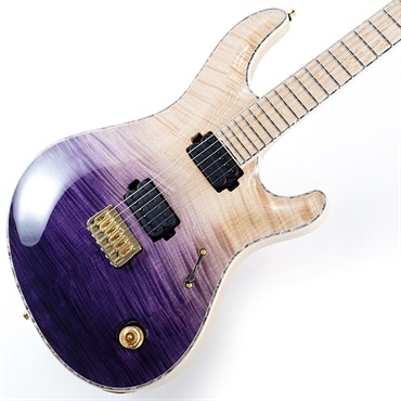 Regius Core 6 (Trans Purple Hprizon Gloss) NAMM 2025
