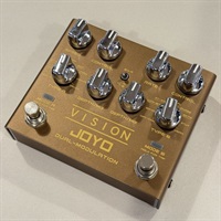 【USED】VISION