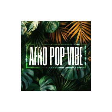 DIGINOIZ AFRO POP VIBE(オンライン納品)(2時間以内に納品)