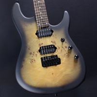 RICHARDSON6 (Natural Poplar Burl Burst)【キズあり特価】#SG46215