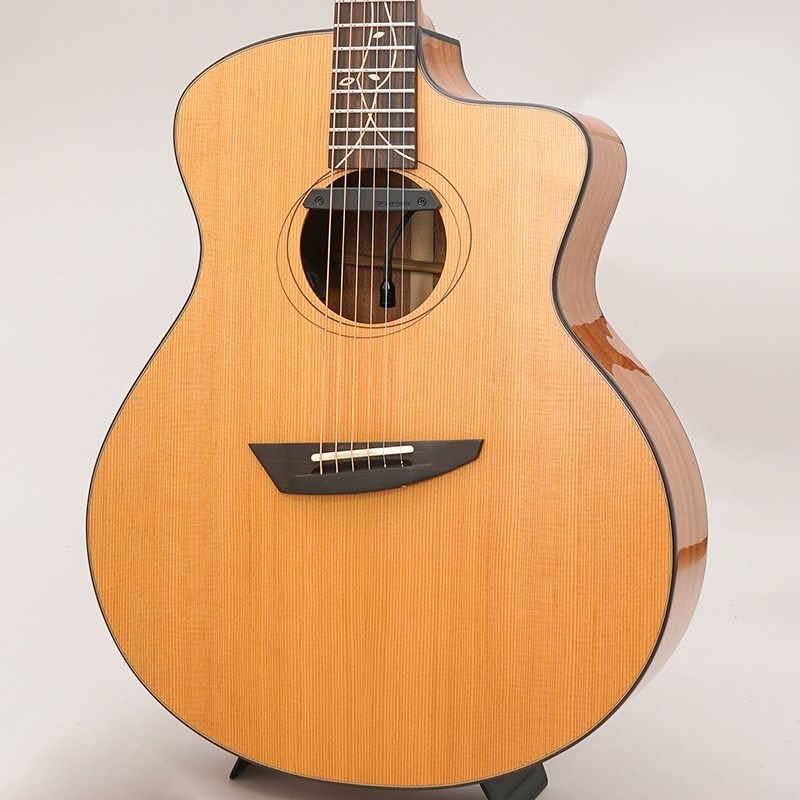 Ibanez 【特価】JGM11WC ※ジョン・ゴム イケベ独占販売モデル