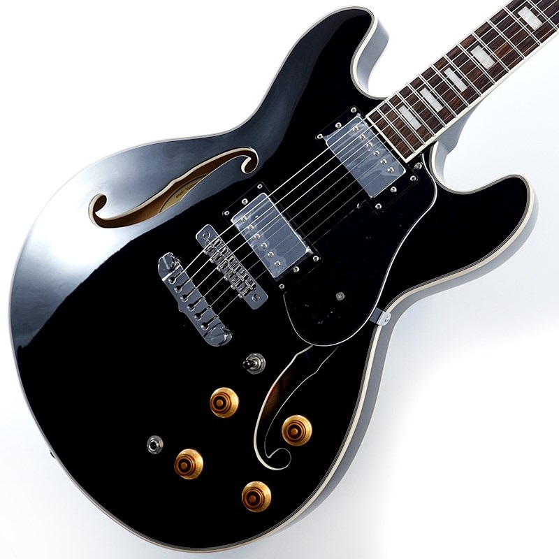 Aria ProII TA-200 BK (Black)【特価】 ｜イケベ楽器店