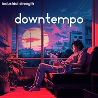 INDUSTRIAL STRENGTH - DOWNTEMPO(オンライン納品)(2時間以内に納品)