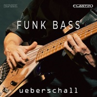 【最大70％OFF！スプリングセール！】FUNK BASS(オンライン納品)(2時間以内に納品)