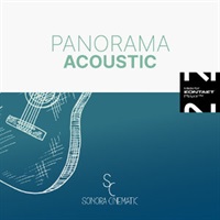 PANORAMA ACOUSTIC / CROSSGRADE(オンライン納品)(2時間以内に納品)