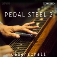 【最大70％OFF！スプリングセール！】PEDAL STEEL 2(オンライン納品)(2時間以内に納品)