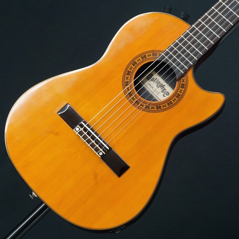 unknown USED 中古 GALLAGHER AN2 【SN.8857584】 ｜イケベ楽器