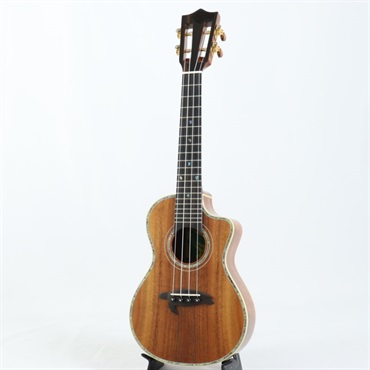 USED 中古 KSX-CTG Concert ビッグアイランド