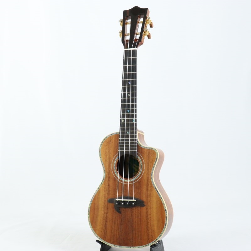 BIG ISLAND USED 中古 KSX-CTG Concert ビッグアイランド