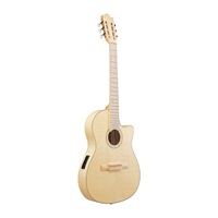 【特価】GA39TCE-NTF アイバニーズ