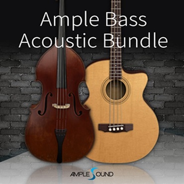 AMPLE SOUND AMPLE BASS ACOUSTIC 2 in 1 BUNDLE(オンライン納品)(2時間以内に納品)