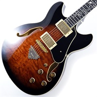 Artcore Expressionist AS93QMSP-DBS (Dark Brown Sunburst) [SPOT MODEL]