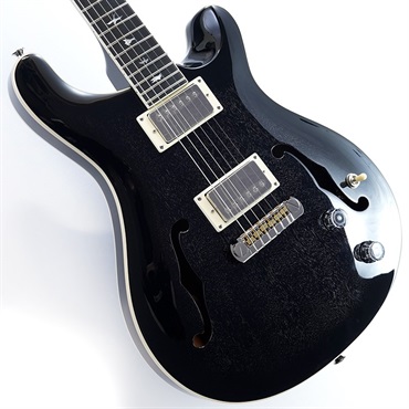 P.R.S. SE Hollowbody Standard (Dog Hair Smokeburst) ｜イケベ