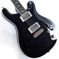 SE Hollowbody Standard (Dog Hair Smokeburst)