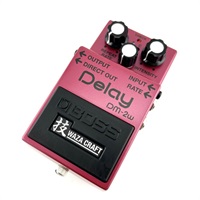 【USED】 DM-2W Delay