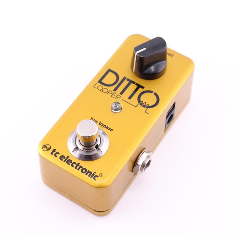 TC Electronic | Product | DITTO LOOPER GOLD