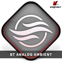 BT ANALOG AMBIENT(オンライン納品)(2時間以内に納品)