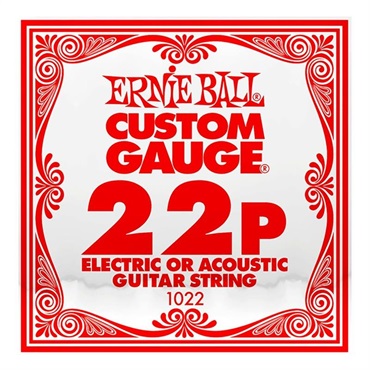 ERNIE BALL 【夏のボーナスセール】 G STEEL PLAIN 022 ｷﾞﾀｰｹﾞｰｼﾞｹﾞﾝ