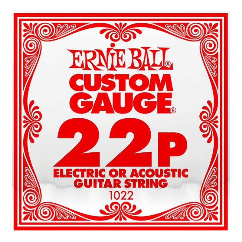 ERNIE BALL 【夏のボーナスセール】 G STEEL PLAIN 022 ｷﾞﾀｰｹﾞｰｼﾞｹﾞﾝ