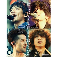 僕らにとって自由とはなんだ Nothing's Carved In Stone
